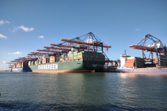 IMG_20230226_160627960