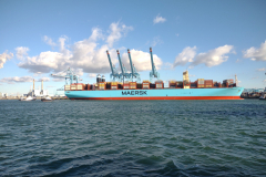 IMG_20230226_162630201