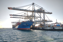 IMG_20230226_162707183