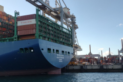 IMG_20230226_163003545