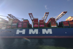 IMG_20230226_163052349