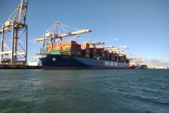 IMG_20230226_163328486