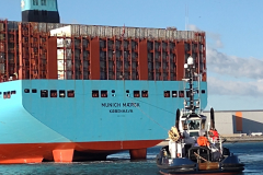 IMG_20230226_164105573